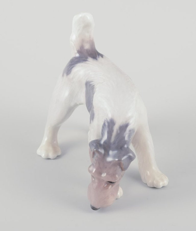 Royal Copenhagen. Porcelain figurine of a Wire Fox Terrier. Approx. 1930s. - 5