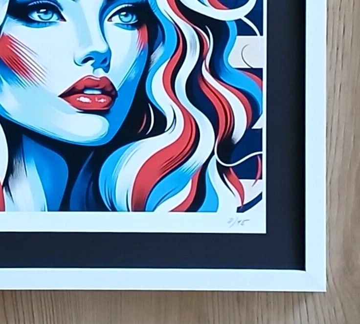 AIDAN FLUX | Hand Signed Authentic Print Framed | LARGE | COA | American Woman - 4
