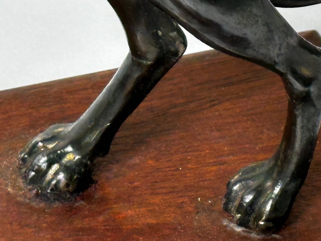 Small British Art Deco Sporting Prized Racing Greyhound Stud Bronze Sculpture - 11
