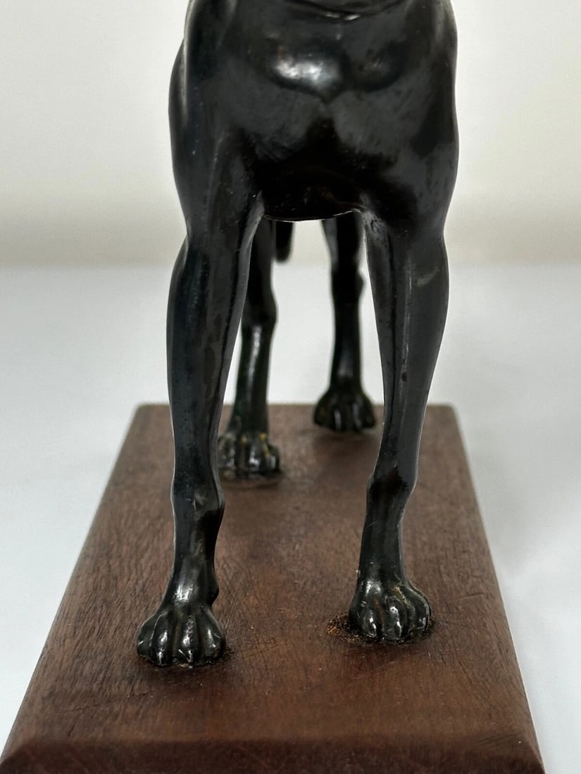 Small British Art Deco Sporting Prized Racing Greyhound Stud Bronze Sculpture - 13