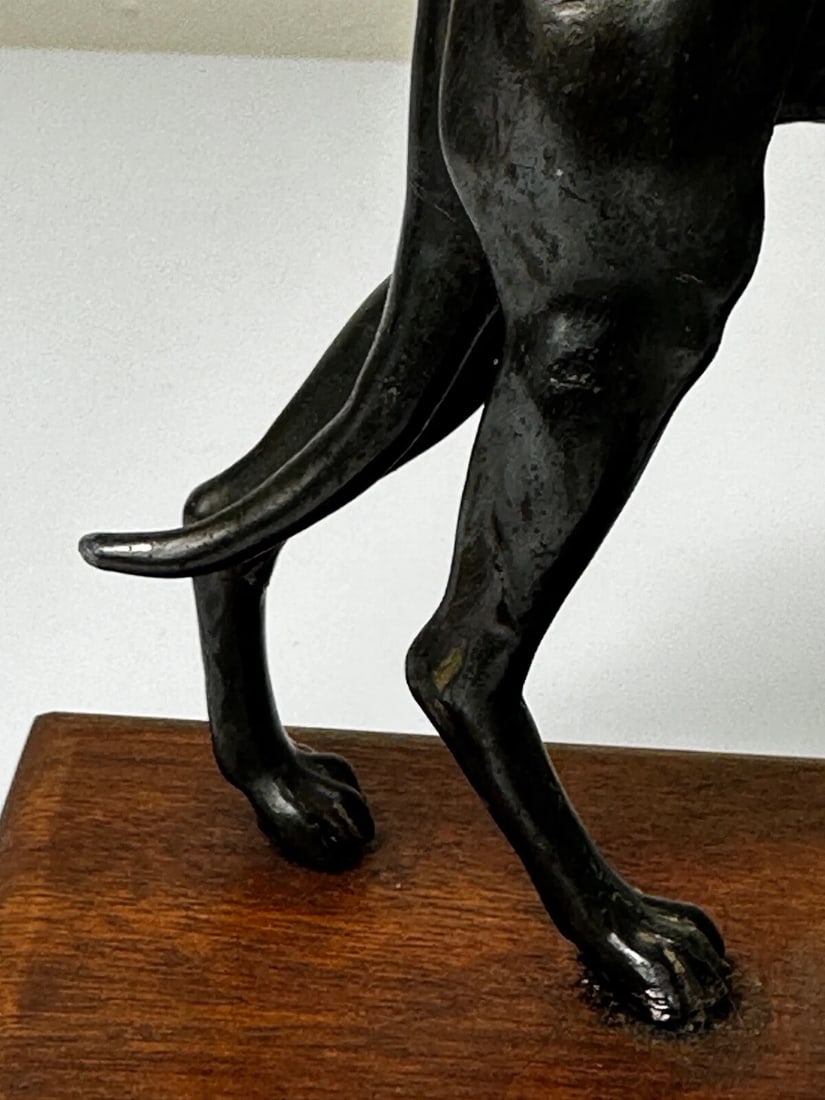 Small British Art Deco Sporting Prized Racing Greyhound Stud Bronze Sculpture - 18