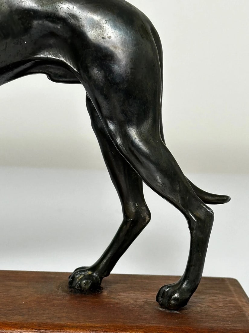 Small British Art Deco Sporting Prized Racing Greyhound Stud Bronze Sculpture - 4