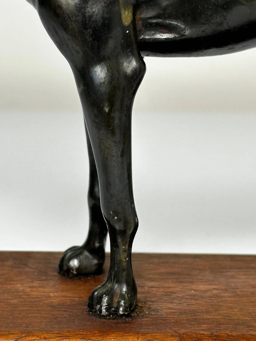Small British Art Deco Sporting Prized Racing Greyhound Stud Bronze Sculpture - 6