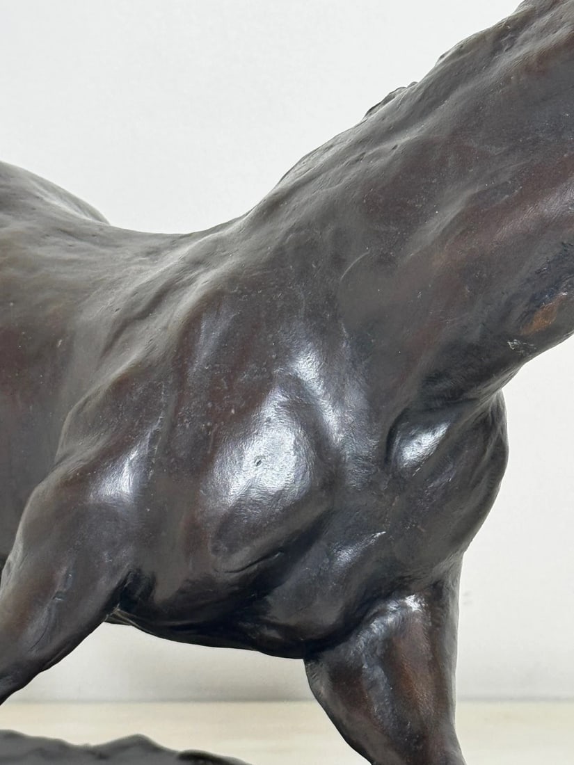Equestrian Bronze Masterpiece of Motion Galloping Horse by Enzo Plazzotta No 6/9 - 14