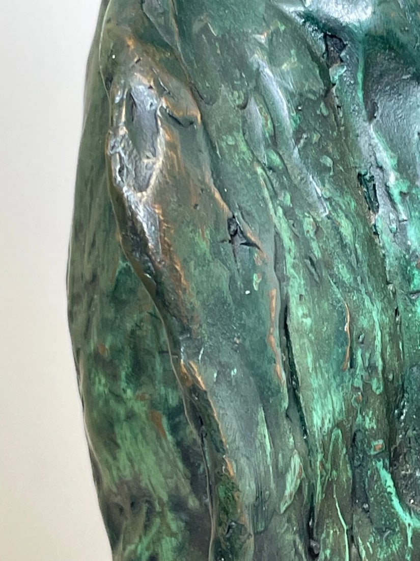 Patinated Bronze Model Of Aquatic Flightless Penguin Sculpture - 15