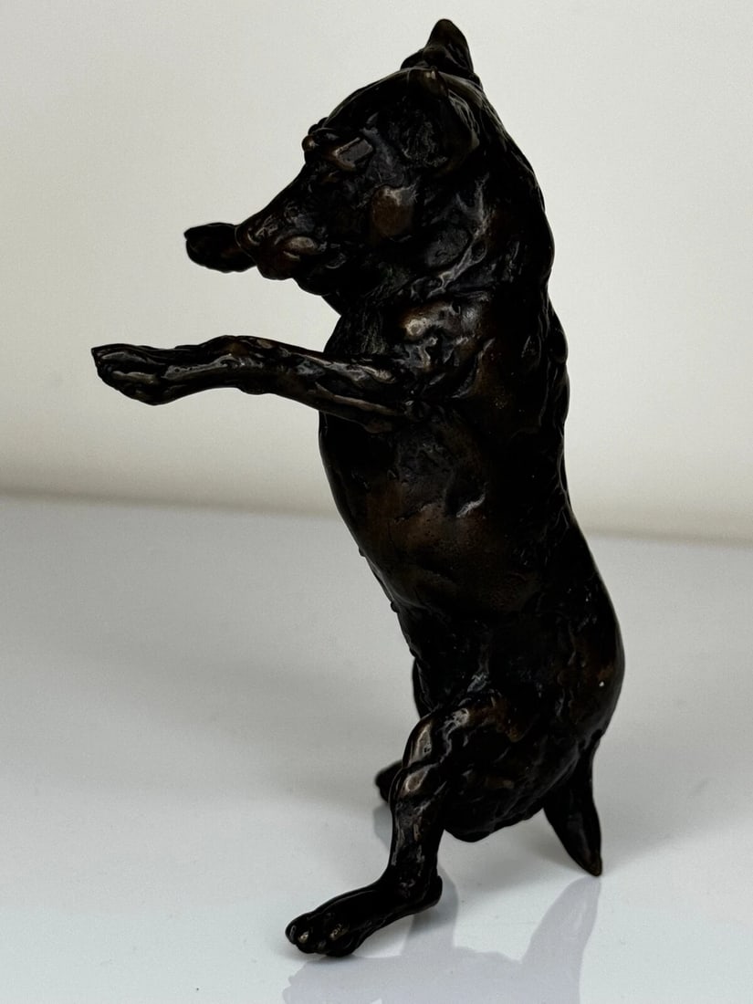 Standing Dog Jack Russell Patinated Bronze Sculpture By Lucy Kinsella - 5