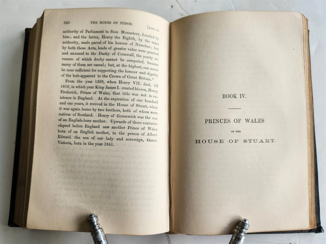 1860 THE BOOK of the PRINCES of WALES Heirs to the Crown of England antique - 5