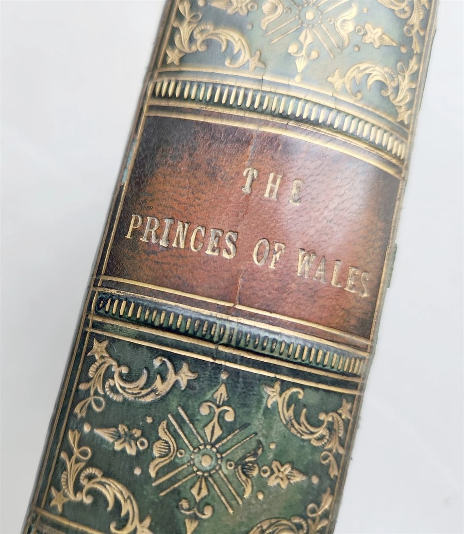 1860 THE BOOK of the PRINCES of WALES Heirs to the Crown of England antique - 8