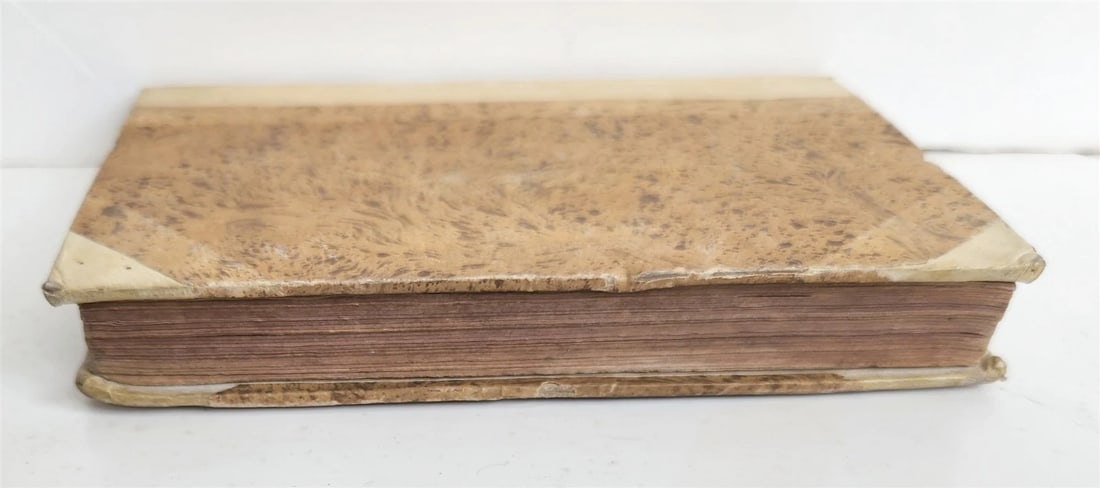 1572 CANON LAW by Gabriele Paleotti De nothis spuriisque filiis liber antique - 3