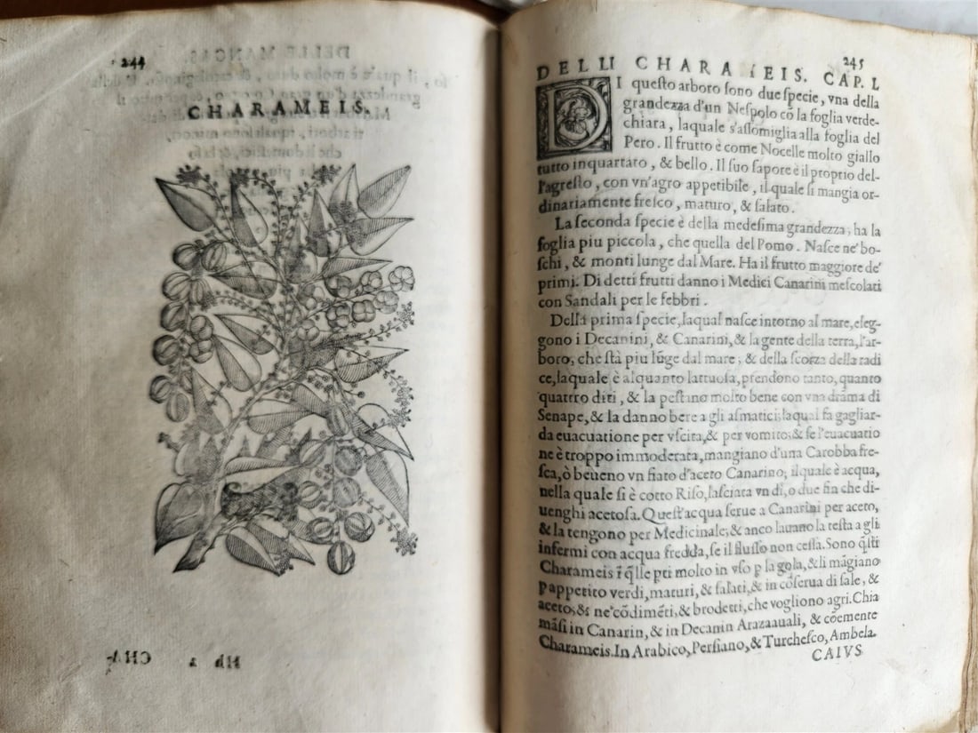 1585 HISTORY NATURE & POWER of MEDICINAL DRUGS by C. Acosta antique ILLUSTRATED - 12