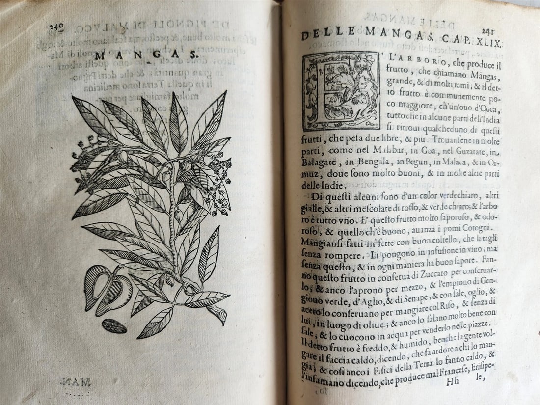 1585 HISTORY NATURE & POWER of MEDICINAL DRUGS by C. Acosta antique ILLUSTRATED - 13
