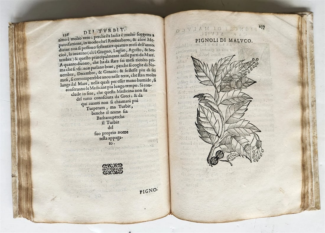 1585 HISTORY NATURE & POWER of MEDICINAL DRUGS by C. Acosta antique ILLUSTRATED - 14