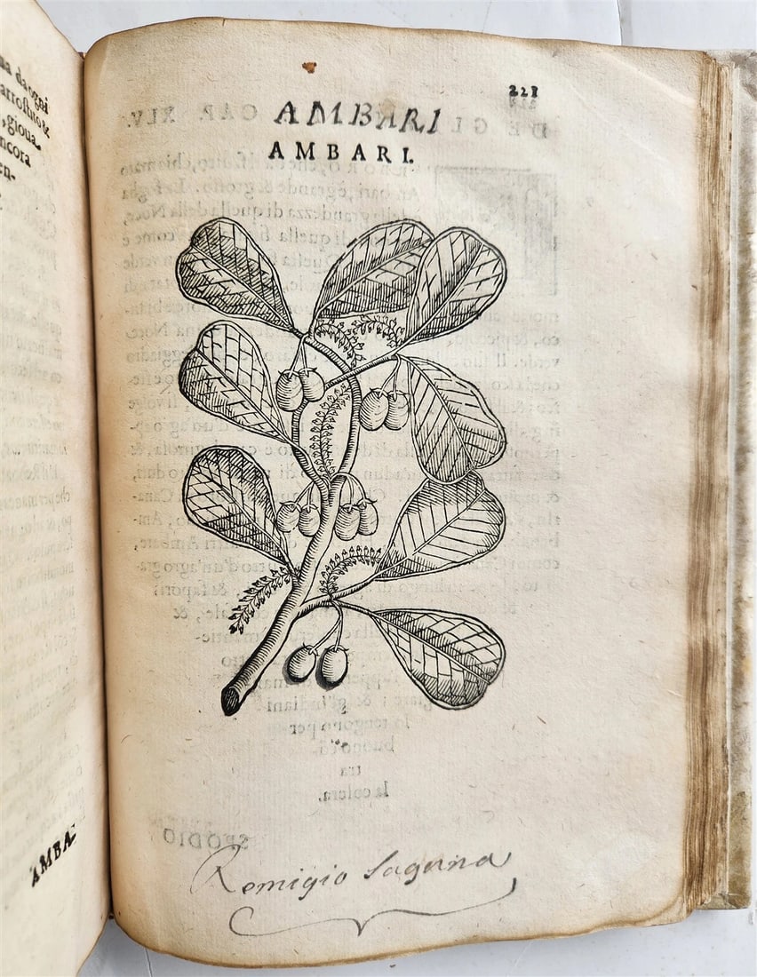 1585 HISTORY NATURE & POWER of MEDICINAL DRUGS by C. Acosta antique ILLUSTRATED - 16