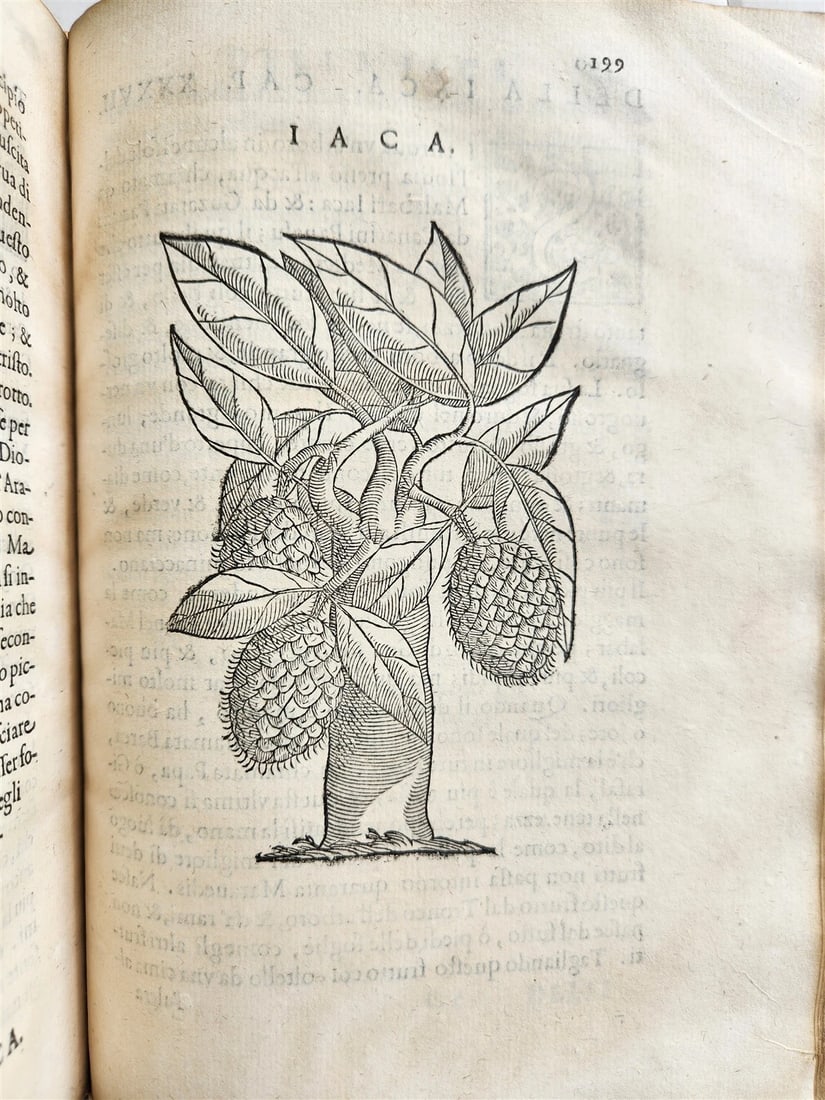 1585 HISTORY NATURE & POWER of MEDICINAL DRUGS by C. Acosta antique ILLUSTRATED - 17