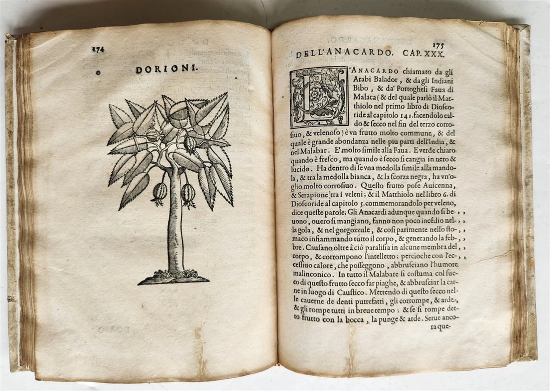 1585 HISTORY NATURE & POWER of MEDICINAL DRUGS by C. Acosta antique ILLUSTRATED - 19