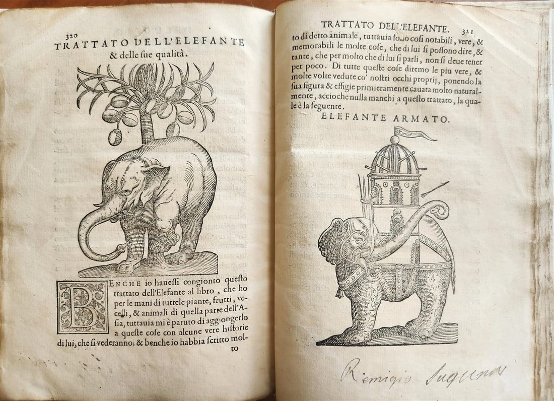 1585 HISTORY NATURE & POWER of MEDICINAL DRUGS by C. Acosta antique ILLUSTRATED: 1585 HISTORY NATURE & POWER of MEDICINAL DRUGS by C. Acosta antique ILLUSTRATED Reserve: $2,198.00 Shipping: Domestic: Flat-rate of $25.00 to anywhere within the contiguous U.S. International: Foreign