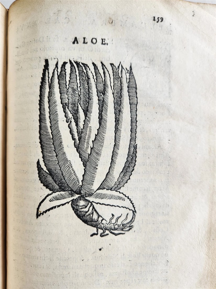 1585 HISTORY NATURE & POWER of MEDICINAL DRUGS by C. Acosta antique ILLUSTRATED - 20