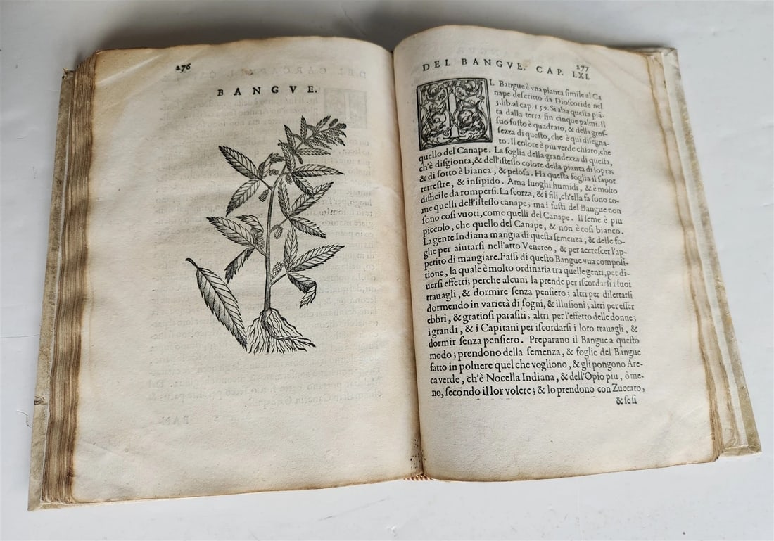 1585 HISTORY NATURE & POWER of MEDICINAL DRUGS by C. Acosta antique ILLUSTRATED - 4