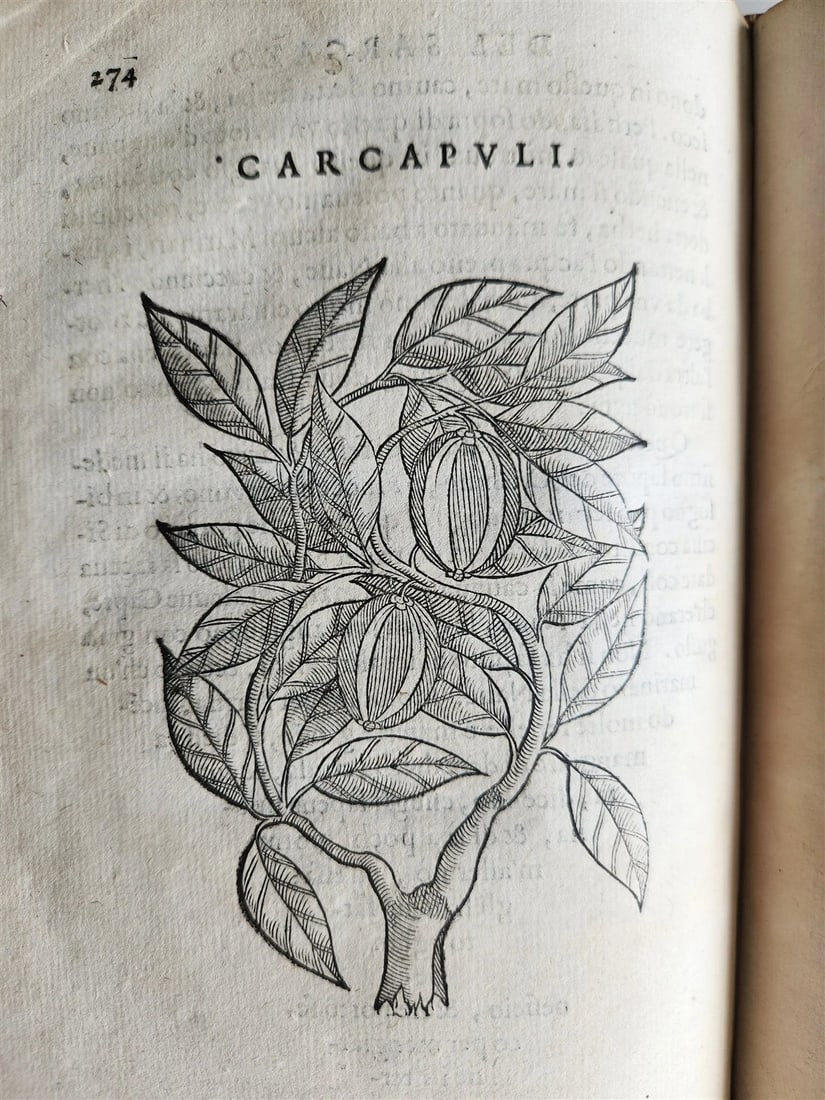 1585 HISTORY NATURE & POWER of MEDICINAL DRUGS by C. Acosta antique ILLUSTRATED - 5