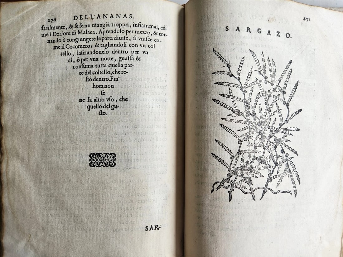 1585 HISTORY NATURE & POWER of MEDICINAL DRUGS by C. Acosta antique ILLUSTRATED - 6