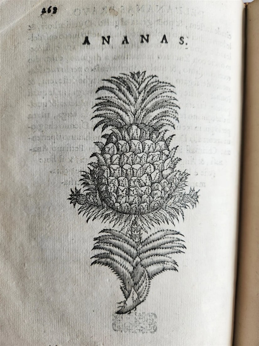 1585 HISTORY NATURE & POWER of MEDICINAL DRUGS by C. Acosta antique ILLUSTRATED - 7