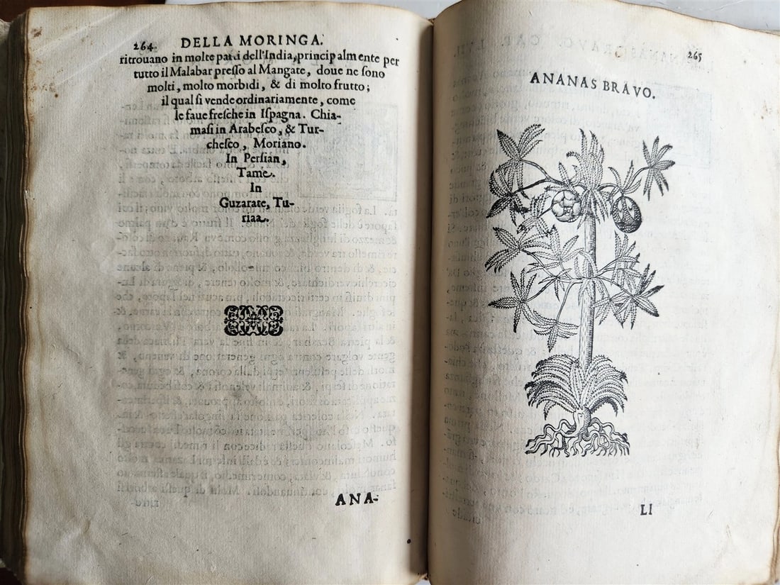 1585 HISTORY NATURE & POWER of MEDICINAL DRUGS by C. Acosta antique ILLUSTRATED - 8