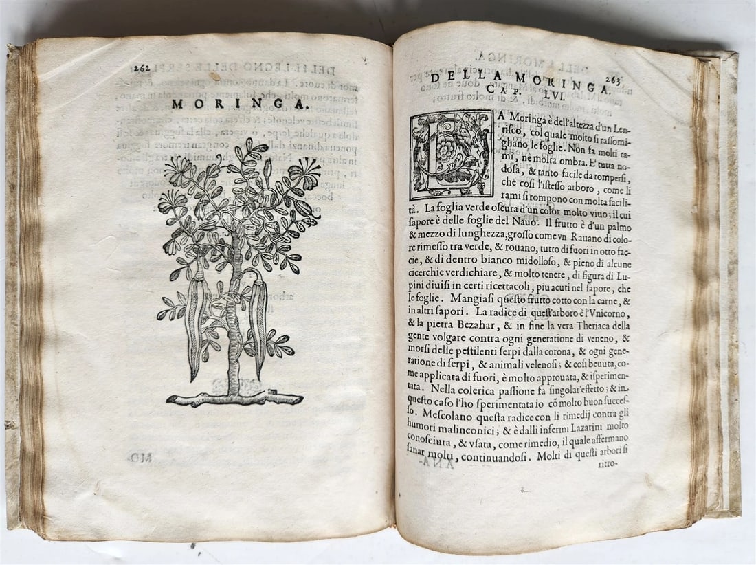 1585 HISTORY NATURE & POWER of MEDICINAL DRUGS by C. Acosta antique ILLUSTRATED - 9