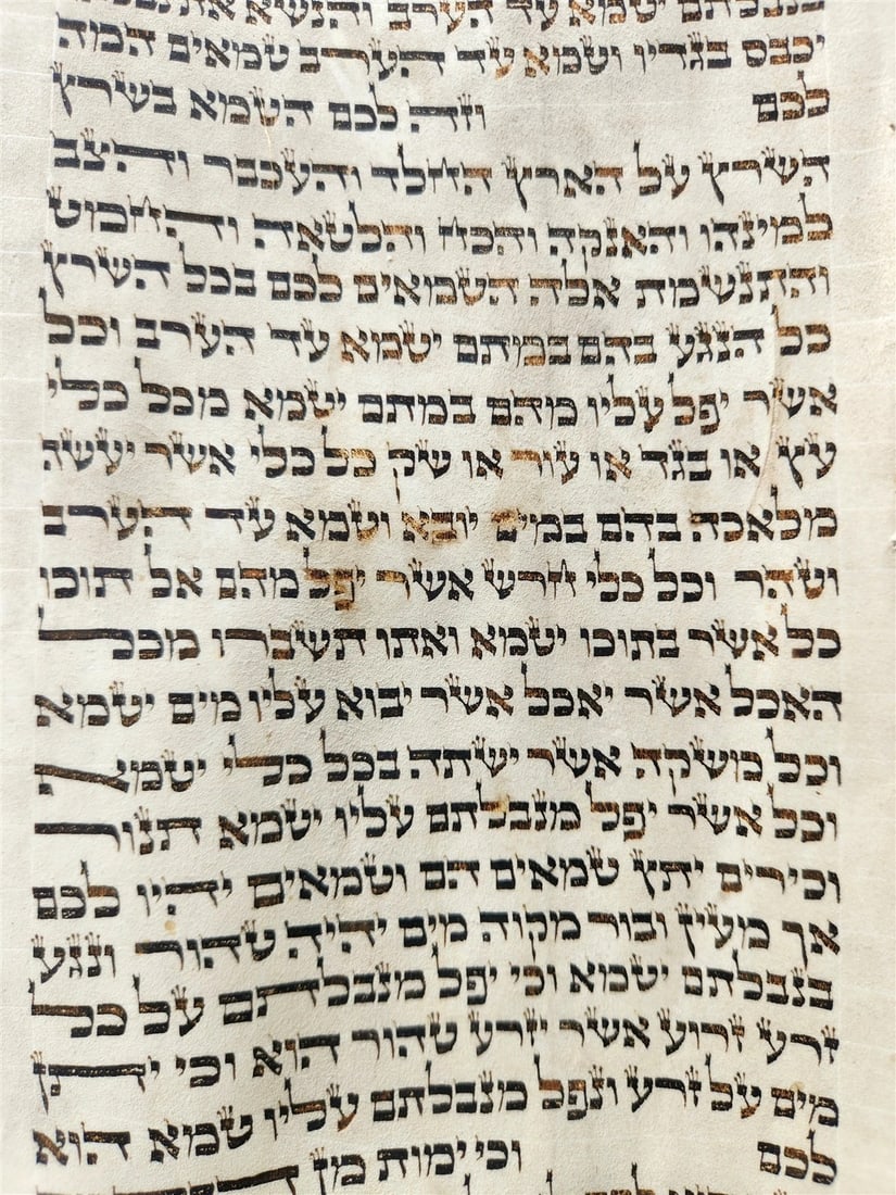 TORAH SCROLL FRAGMENT VELLUM MANUSCRIPT 19th century ANTIQUE LEVITICUS 13x20" - 2
