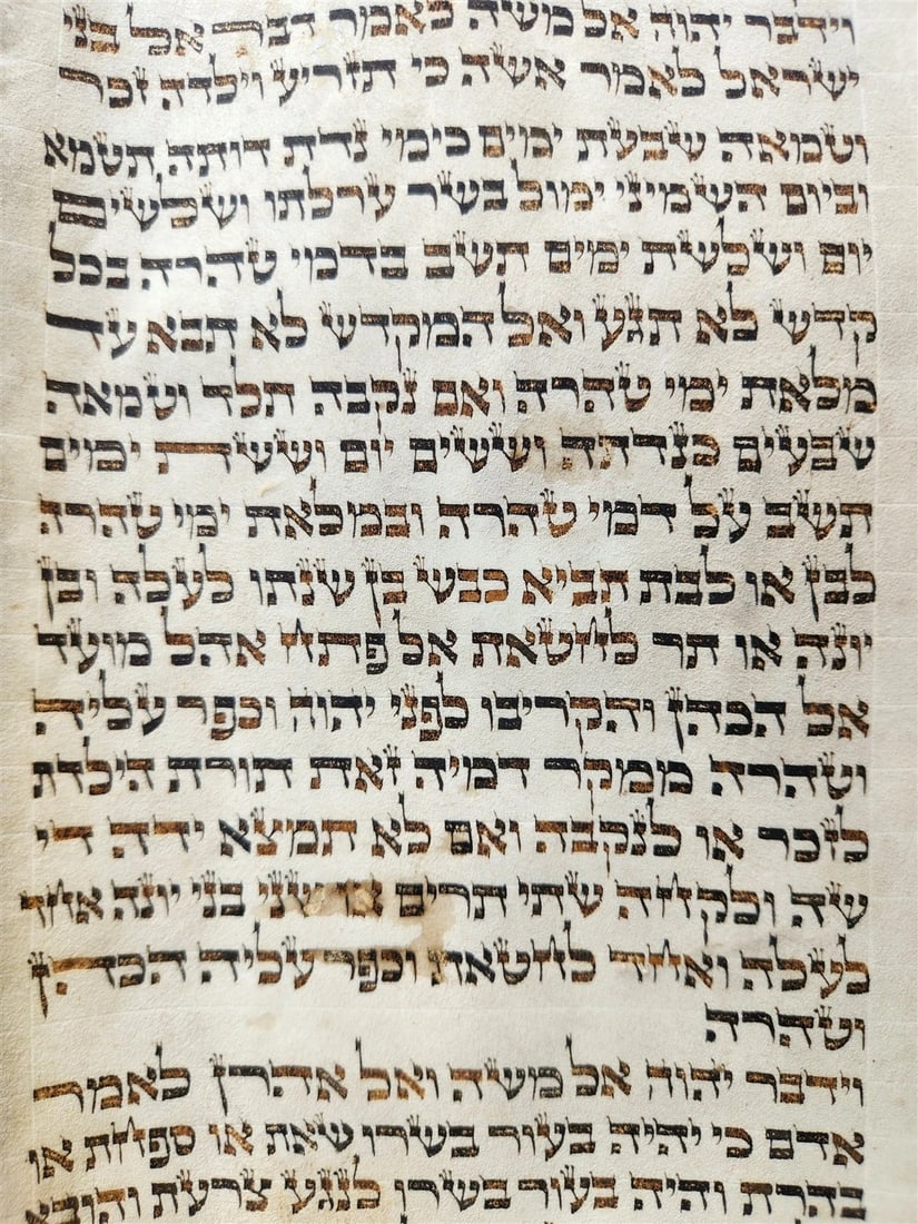 TORAH SCROLL FRAGMENT VELLUM MANUSCRIPT 19th century ANTIQUE LEVITICUS 13x20" - 3
