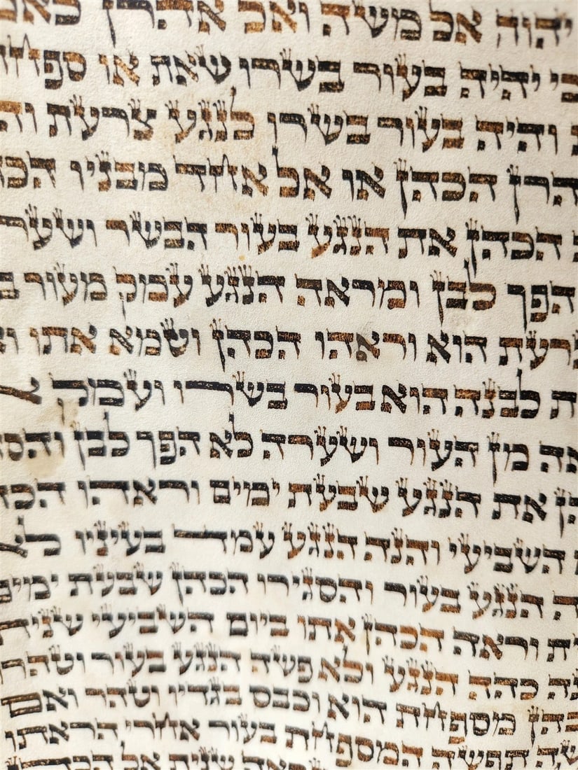 TORAH SCROLL FRAGMENT VELLUM MANUSCRIPT 19th century ANTIQUE LEVITICUS 13x20" - 4