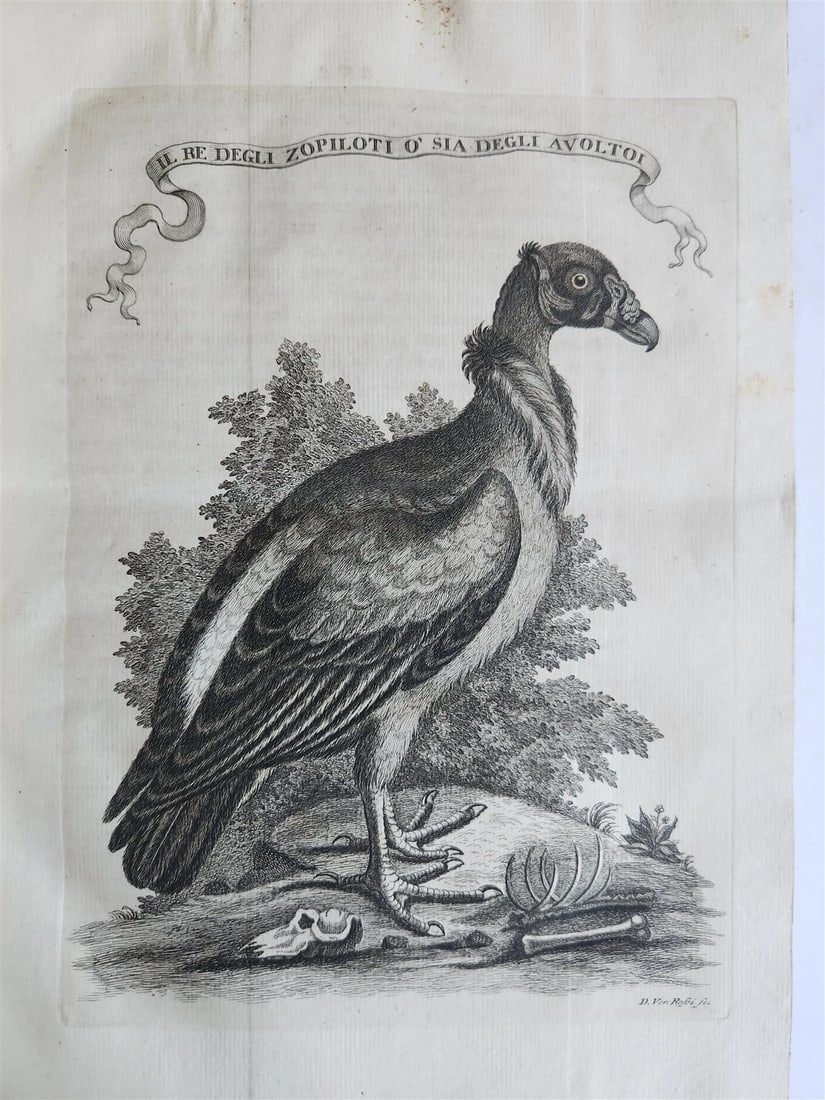 1763 IL GAZZETTIERE AMERICANO antique ILLUSTRATED w/ MAPS & ENGRAVINGS FOLIO - 6