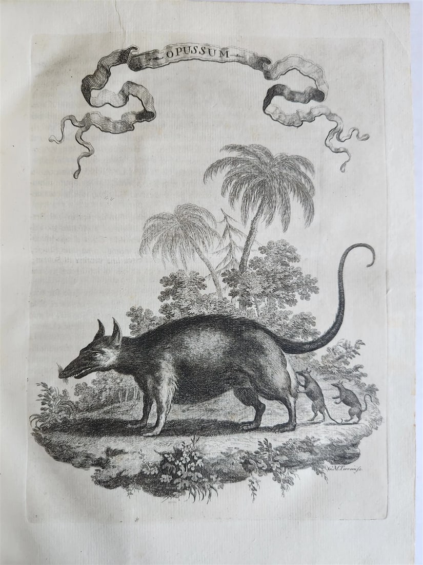 1763 IL GAZZETTIERE AMERICANO antique ILLUSTRATED w/ MAPS & ENGRAVINGS FOLIO - 8