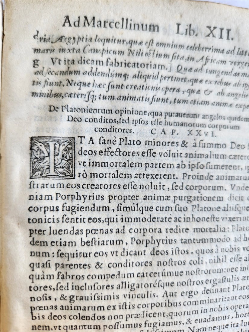 1560 AUGUSTINE of HIPPO De civitate Dei antique 16th century VELLUM BOUND - 8