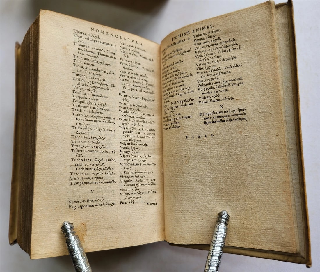 1593 ARISTOTELIS Tomus Physicus 2 VOLUMES antique 16th century VELLUM BOUND - 16