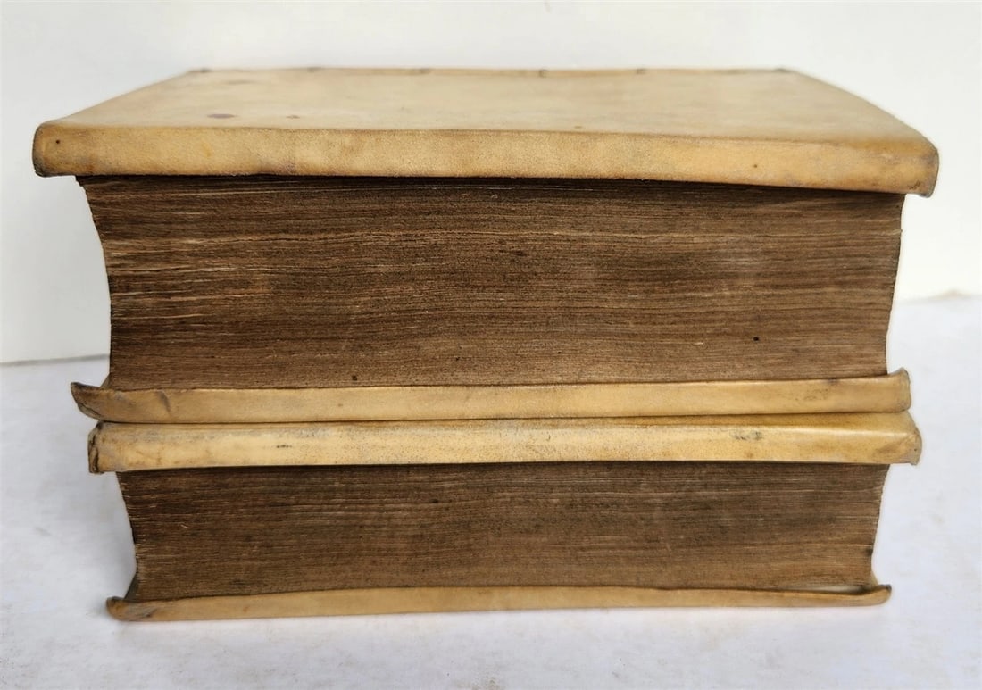 1593 ARISTOTELIS Tomus Physicus 2 VOLUMES antique 16th century VELLUM BOUND - 4