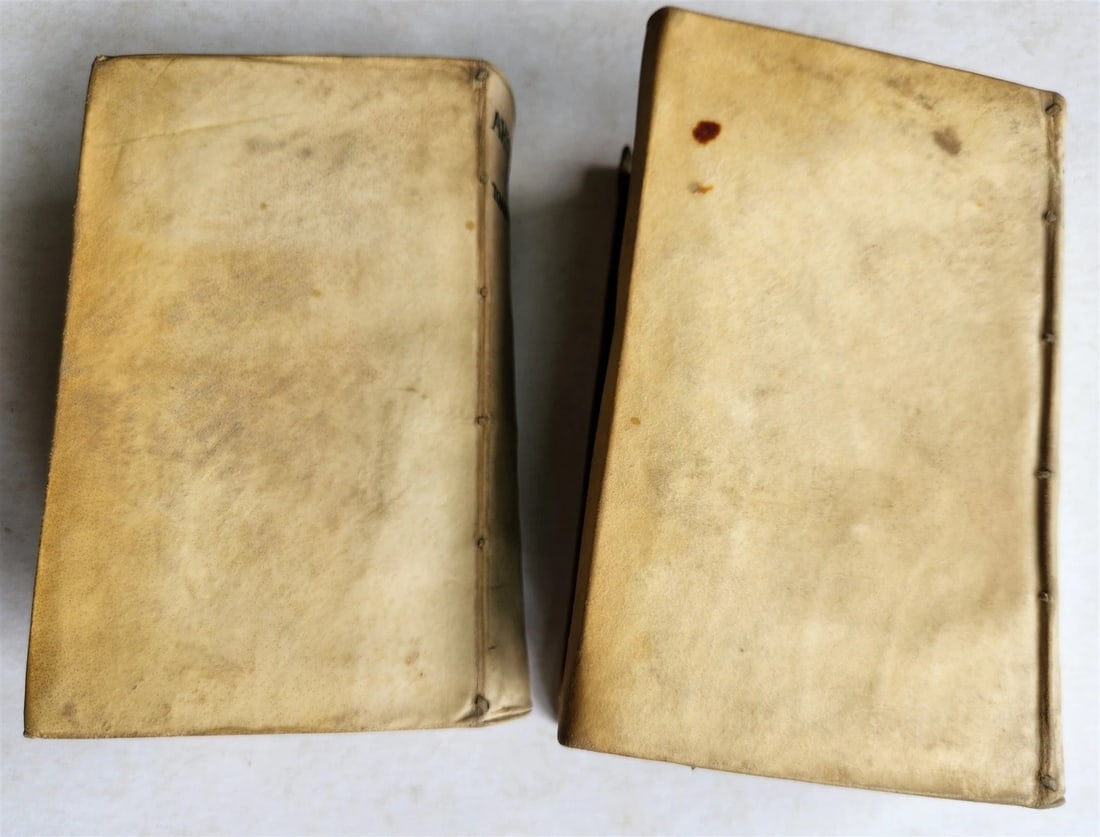 1593 ARISTOTELIS Tomus Physicus 2 VOLUMES antique 16th century VELLUM BOUND - 8