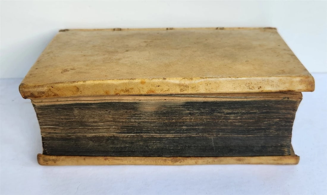 1647 RATIONE STATUS in IMPERIO NOSTRO ROMANO-GERMANICO antique VELLUM BINDING - 3