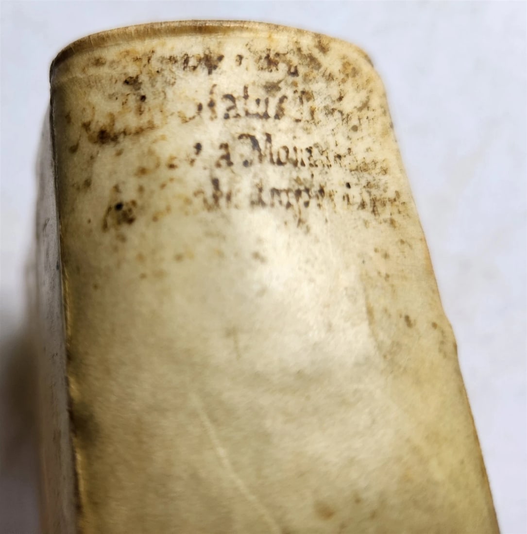 1647 RATIONE STATUS in IMPERIO NOSTRO ROMANO-GERMANICO antique VELLUM BINDING - 8