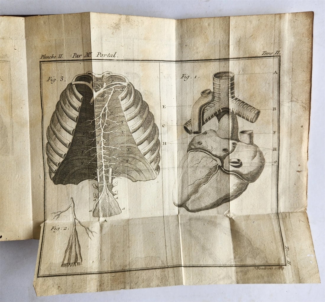 1777 ANATOMIE HISTORIQUE et PRATIQUE antique ILLUSTRATED - 6