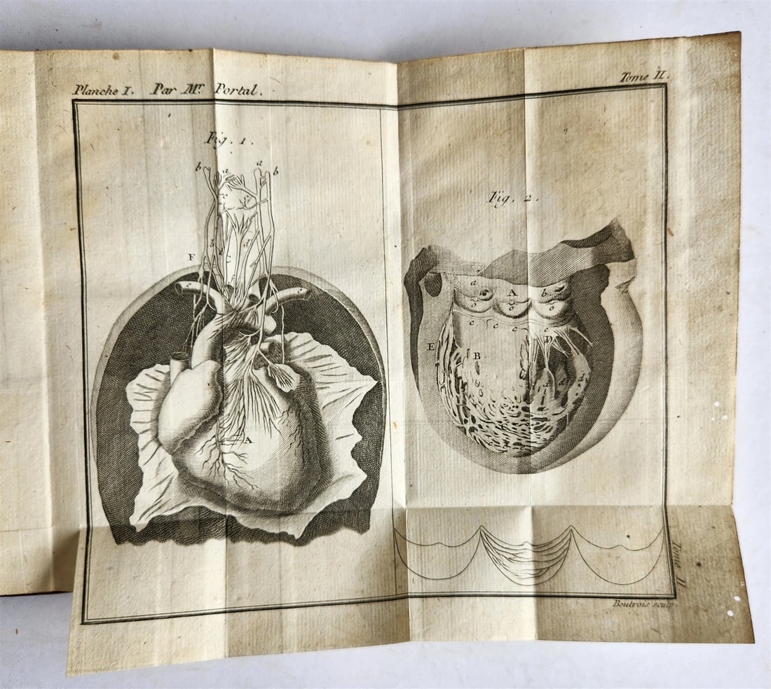 1777 ANATOMIE HISTORIQUE et PRATIQUE antique ILLUSTRATED - 7