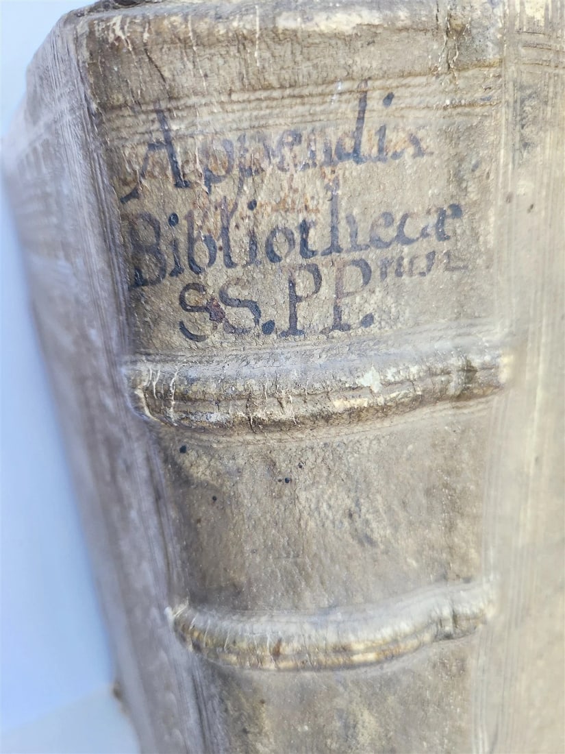1579 Sacrae bibliothecae sanctorum patrum PIGSKIN BOUND FOLIO 16th cent. ANTIQUE - 3