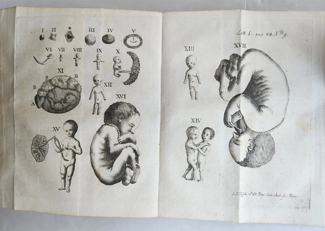 1764 EMBRYOLOGIA OBSTETRICS antique PIGSKIN BINDING w/ CLASPS: Cangiamila, F.E. Sacra embryologia sive de officio sacerdotum, medicorum, et aliorum circa aeternam parvulorum in utero existentium salutem. Munich and Ingolstadt, Crätz ; 1764 24 leaves, 580 pp.