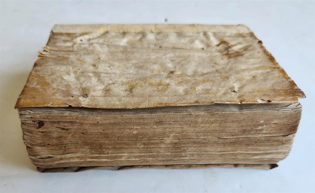 1548 LEGAL TREATISE antique PARIS DE PUTEO de syndicatu NAPLES LAW BOOK - 3