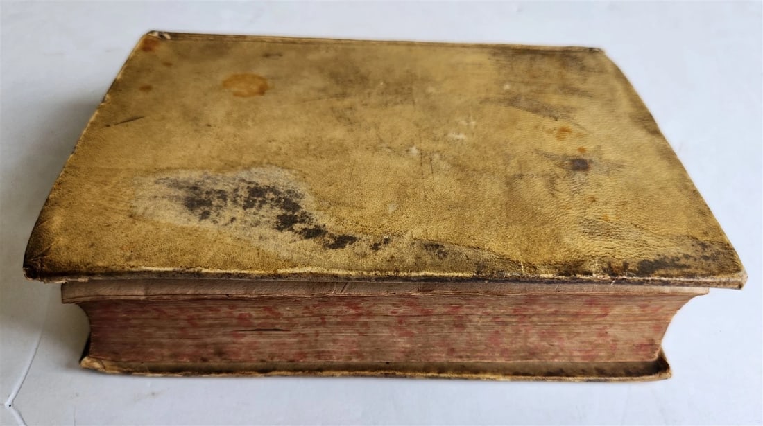 1581 GRECO-ROMAN MYTHOLOGY by Natale Conti ANTIQUE vellum bound 16th century - 11