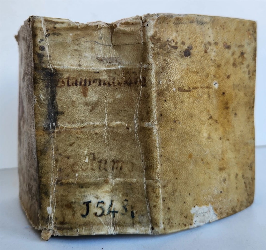 1548 BIBLE in LATIN ILLUSTRATED antique 16th CENTURY vellum TESTAMENTI NOUI - 2