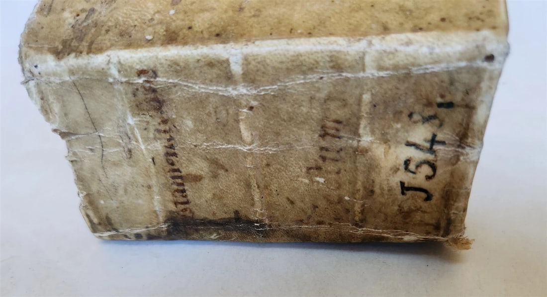 1548 BIBLE in LATIN ILLUSTRATED antique 16th CENTURY vellum TESTAMENTI NOUI - 3