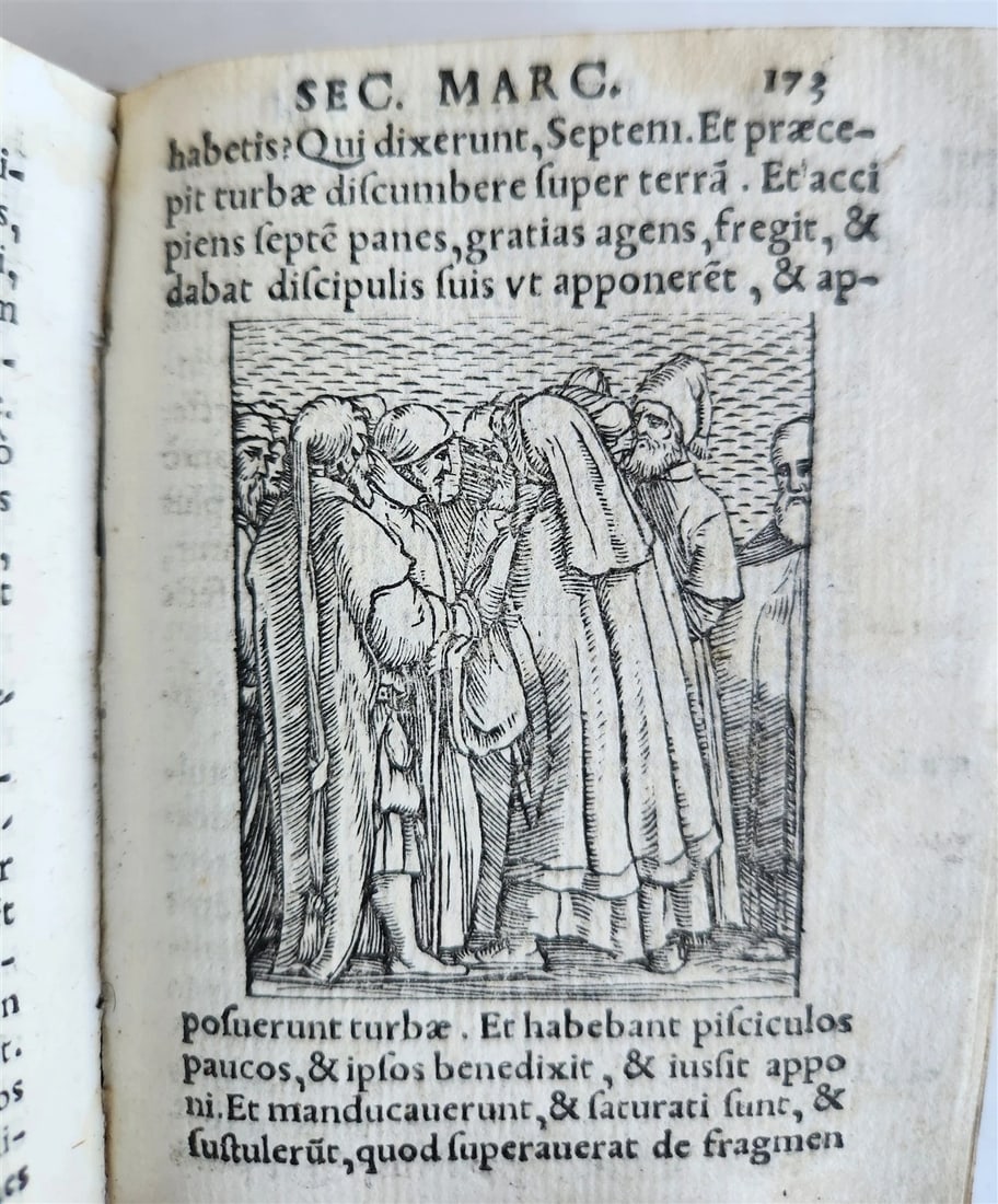 1548 BIBLE in LATIN ILLUSTRATED antique 16th CENTURY vellum TESTAMENTI NOUI - 5