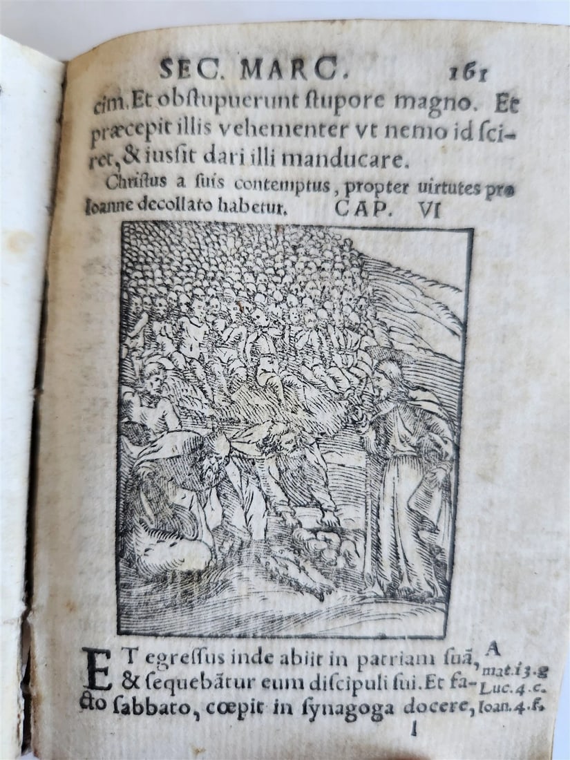 1548 BIBLE in LATIN ILLUSTRATED antique 16th CENTURY vellum TESTAMENTI NOUI - 6
