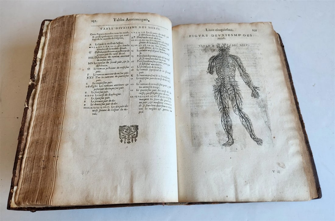 1646 ANATOMY ILLUSTRATED FOLIO antique MEDICAL Oeuvres de Me André dv Lavrens - 10