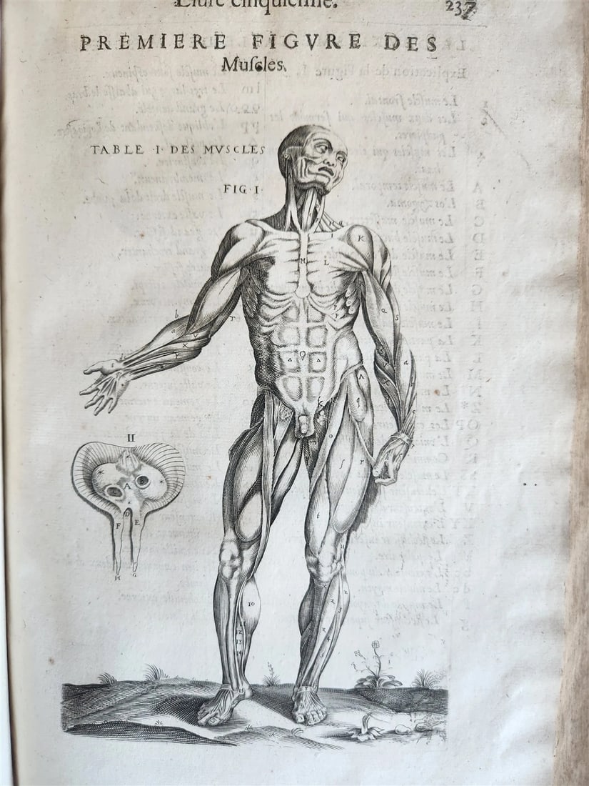 1646 ANATOMY ILLUSTRATED FOLIO antique MEDICAL Oeuvres de Me André dv Lavrens - 11